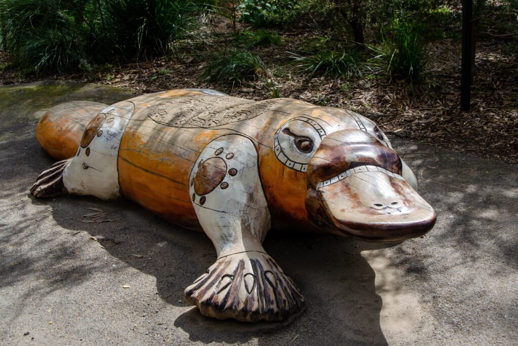 Platypuses fact, Random Animal Facts, Surprising Mammal Facts